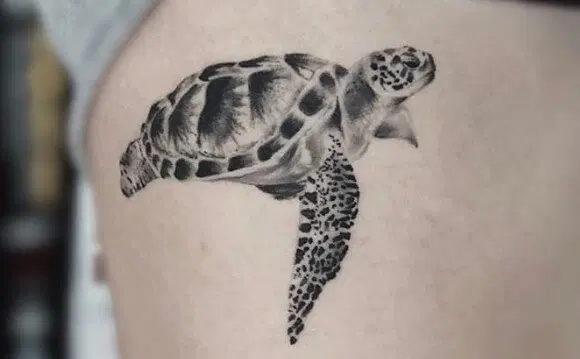 White and black turtle tattoo